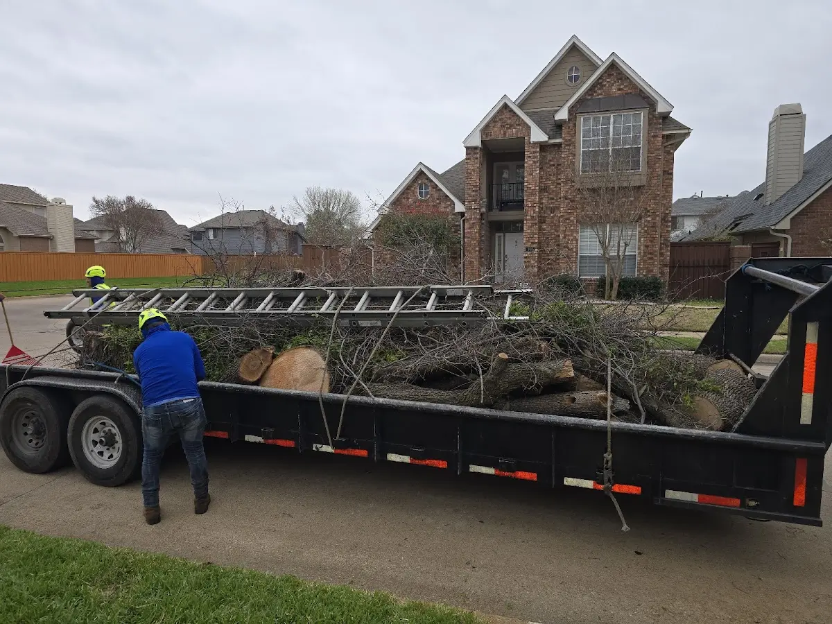 Expert Tree Fertilization with proper safety equipment in Gasconade